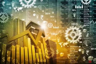 江苏天鼎 用心为客户提供最具价值的金融信息服务