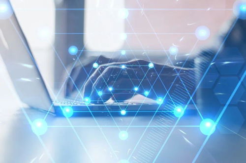 共同维护网络清朗空间 河南狠抓《网络信息内容生态治理规定》贯彻落实